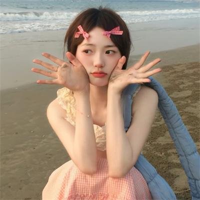 盗贼泰瑞莎